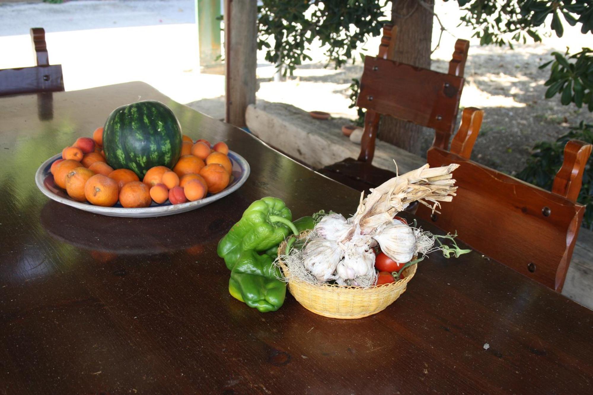 Camere & Case Vacanze Lo Scoglio กาสเตล ดิ ตูซา ภายนอก รูปภาพ